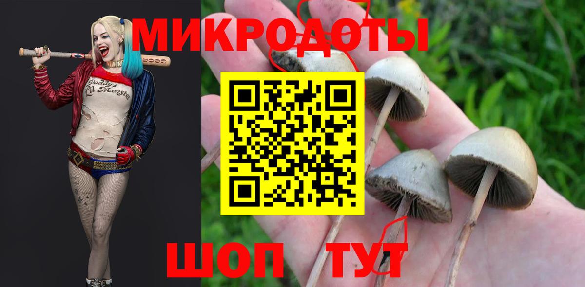 Галлюциногенные грибы Psilocybe Бор